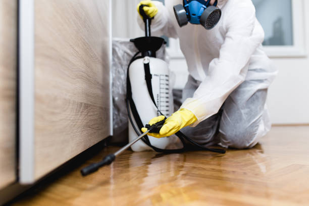 Best Best Pest Control Companies  in Hart, MI