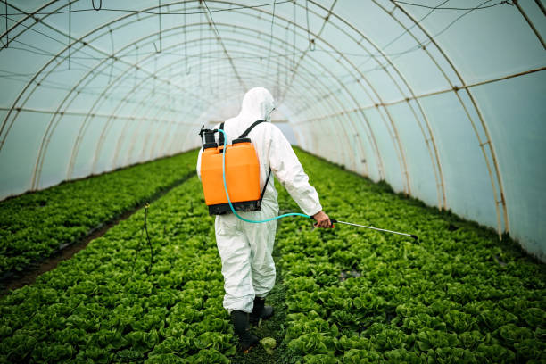 Best Pest Inspection Near Me  in Hart, MI