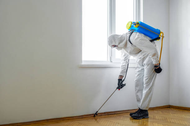 Best Rat Extermination Near Me  in Hart, MI