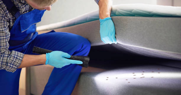 Best Pest Control for Homes  in Hart, MI