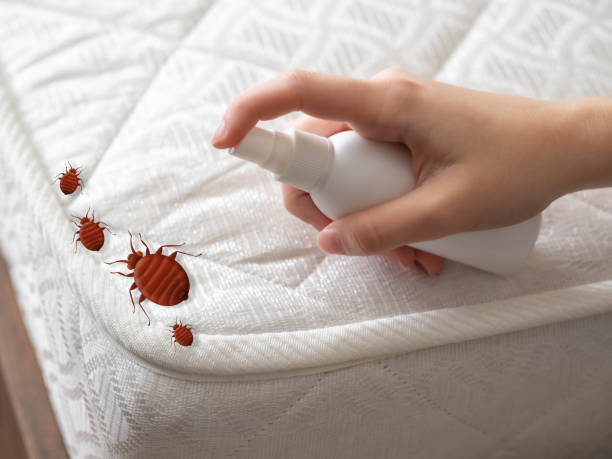 Best Pest Inspection Near Me  in Hart, MI