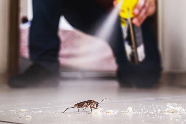 Best Affordable Pest Control Services  in Hart, MI