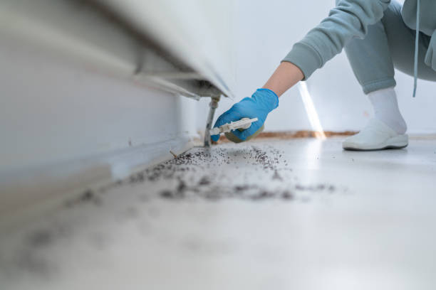 Best Pest Removal Services  in Hart, MI