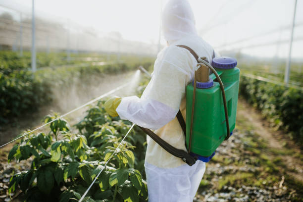 Best Termite Control Services  in Hart, MI